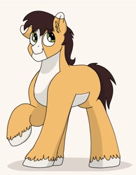 Size: 1423x1836 | Tagged: safe, artist:pastel-charms, oc, oc:lucky horseshoe, parent:applejack, parent:trouble shoes, parents:troublejack, species:earth pony, species:pony, male, offspring, simple background, solo, stallion