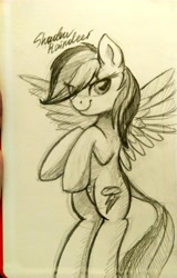 Size: 2881x4504 | Tagged: safe, artist:php97, character:rainbow dash, female, solo, traditional art