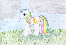 Size: 1024x713 | Tagged: safe, artist:normaleeinsane, character:baby quackers, g1, cloud, female, grass, rain, solo, traditional art