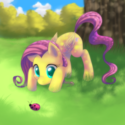 Size: 2222x2222 | Tagged: safe, artist:jacky-bunny, character:fluttershy, species:pegasus, species:pony, dappled sunlight, female, grass, high res, ladybug, mare, solo, tree