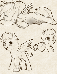 Size: 811x1049 | Tagged: safe, artist:hikariviny, oc, oc:brave heart, oc:braveheart night, oc:sweet lullaby, parents:oc x oc, species:pegasus, species:pony, belly, belly button, colt, eyes closed, female, heart, lying down, male, mare, offspring, parent:oc:shady night, parent:oc:sweet lullaby, pegasus oc, pillow, pregnant, scar, sketch, smiling