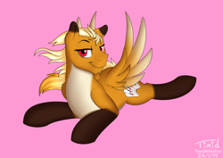 Size: 3033x2148 | Tagged: safe, artist:timidwithapen, oc, oc only, species:pegasus, species:pony, femboy, looking at you, male, solo, spread wings, wingboner, wings