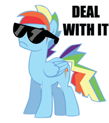Size: 423x479 | Tagged: safe, artist:j-brony, artist:kayman13, artist:trotsworth, character:rainbow dash, species:pony, deal with it, glasses, rainbow blitz, rule 63, simple background, solo, sunglasses, swag, transparent background