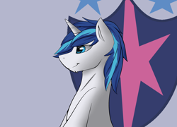 Size: 2500x1800 | Tagged: safe, artist:snowstormbat, character:shining armor, species:pony, species:unicorn, chin fluff, cutie mark, looking offscreen, male, simple background, smiling, solo, stallion