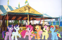 Size: 905x587 | Tagged: safe, artist:trotsworth, character:applejack, character:fluttershy, character:pinkie pie, character:rainbow dash, character:rarity, character:twilight sparkle, oc:dusk shine, species:pony, applejack (male), book, bubble berry, butterscotch, elusive, irl, male six, mane six, petting zoo, photo, ponies in real life, rainbow blitz, rule 63