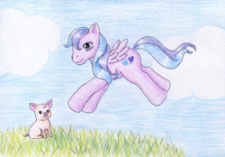 Size: 900x627 | Tagged: safe, artist:normaleeinsane, character:flitterheart, species:pony, pig, solo, traditional art