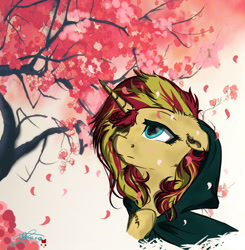 Size: 1020x1039 | Tagged: source needed, safe, artist:yuris, character:sunset shimmer, species:pony, species:unicorn, cheek fluff, cherry blossoms, ear fluff, female, flower, flower blossom, hair over one eye, hood, japan, leg fluff, solo