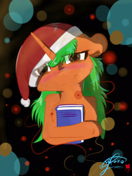 Size: 1520x2026 | Tagged: safe, artist:yuris, oc, species:pony, abstract background, blushing, book, cheek fluff, chest fluff, christmas, clothing, ear fluff, floppy ears, hat, holiday, leg fluff, looking at you, santa hat, shoulder fluff, smiling, solo