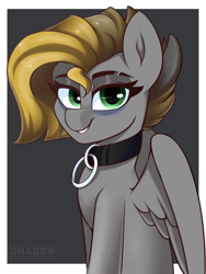 Size: 960x1280 | Tagged: safe, artist:php97, oc, species:pegasus, species:pony, collar, solo