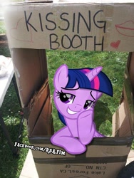 Size: 720x960 | Tagged: safe, artist:rsa.fim, edit, edited screencap, screencap, character:twilight sparkle, character:twilight sparkle (alicorn), species:alicorn, species:pony, episode:the saddle row review, g4, my little pony: friendship is magic, bedroom eyes, dank memes, horn, irl, kissing booth, looking at you, photo, ponies in real life, shitposting, smiling