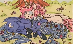 Size: 1280x761 | Tagged: safe, artist:candasaurus, character:princess celestia, character:princess luna, species:alicorn, species:pony, blushing, braid, female, flower, flower in hair, grass, happy, mare, s1 luna, sleeping, smiling, traditional art