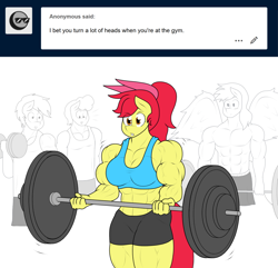 Size: 1280x1236 | Tagged: safe, artist:matchstickman, character:apple bloom, oc, oc:calm wind, species:anthro, species:earth pony, species:pegasus, species:pony, abs, apple bloom's bow, apple brawn, background pony, barbell, biceps, bodybuilder, bow, breasts, busty apple bloom, clothing, deltoids, dumbbell (object), female, gym, hair bow, male, mare, matchstickman's apple brawn series, muscles, older, older apple bloom, pecs, simple background, solo focus, sports bra, sports shorts, spread wings, stallion, thighs, thunder thighs, tumblr comic, tumblr:where the apple blossoms, vein, weight lifting, white background, wingboner, wings
