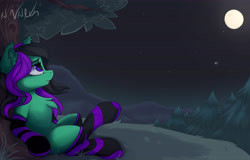 Size: 4754x3043 | Tagged: safe, artist:avery-valentine, oc, oc only, oc:mintybatty, species:pony, chest fluff, clothing, comet, ear fluff, fangs, full moon, looking away, looking up, lying down, moon, night, on back, outdoors, socks, solo, striped socks, tree, under the tree