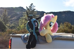 Size: 1342x890 | Tagged: safe, artist:agatrix, artist:joltage, character:fluttershy, character:queen chrysalis, species:changeling, species:pegasus, species:pony, changeling queen, female, irl, mountain, mountain range, outdoors, photo, plushie, truck, vehicle