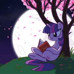 Size: 1000x1000 | Tagged: safe, artist:professor-ponyarity, character:twilight sparkle, book, female, moon, reading, solo