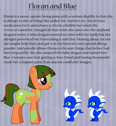 Size: 549x596 | Tagged: safe, artist:chili19, base used, oc, oc only, species:dragon, species:earth pony, species:pony, earth pony oc, female, mare, pony creator, reference sheet, slit eyes, text