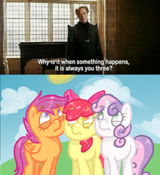 Size: 1158x1264 | Tagged: safe, artist:steeve, edit, character:apple bloom, character:scootaloo, character:sweetie belle, species:earth pony, species:human, species:pegasus, species:pony, species:unicorn, cutie mark crusaders, harry potter, meme, minerva mcgonagall