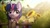 Size: 3232x1816 | Tagged: safe, artist:radioaxi, character:twilight sparkle, species:bird, species:pony, g4, butterfly, clothing, crossover, eyebrows, eyebrows visible through hair, female, fence, flower, looking sideways, mare, scenery, signature, smiling, socks, solo, sunflower, sword, the witcher, weapon