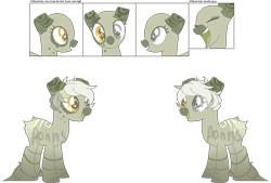 Size: 891x601 | Tagged: safe, artist:skulifuck, base used, oc, oc only, species:earth pony, species:pony, $, bust, earth pony oc, eyes closed, heterochromia, money, open mouth, reference sheet, simple background, smiling, transparent background, wingding eyes