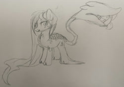 Size: 2674x1870 | Tagged: safe, artist:skulifuck, oc, oc only, species:pony, augmented tail, chest fluff, fangs, freckles, hoof fluff, lineart, long hair, male, original species, pirate, plant, plant pony, scales, stallion, tongue out, traditional art