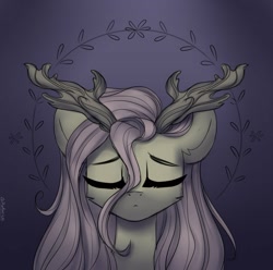 Size: 1501x1489 | Tagged: safe, artist:radioaxi, character:fluttershy, species:pony, antlers, branches for antlers, bust, eyes closed, female, full face view, mare, portrait, solo, stray strand