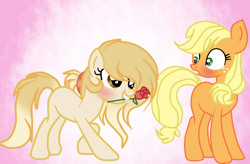 Size: 900x591 | Tagged: safe, artist:applerougi, character:applejack, oc, oc:cremita, species:earth pony, species:pony, blushing, female, flower, lesbian, mare, mouth hold, rose