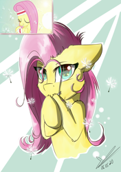 Size: 1200x1700 | Tagged: safe, artist:yuris, character:fluttershy, species:pegasus, species:pony, episode:hurricane fluttershy, g4, my little pony: friendship is magic, abstract background, bust, cute, dandelion, ear fluff, female, floppy ears, hoof fluff, hooves to the chest, looking at you, mare, portrait, scene interpretation, screencap reference, shoulder fluff, shy, shyabetes, smiling, solo, stray strand, three quarter view