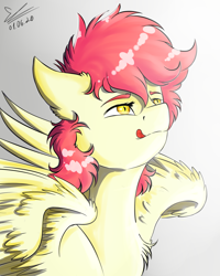Size: 1064x1330 | Tagged: safe, artist:yuris, oc, oc only, species:pegasus, species:pony, male, solo