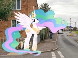 Size: 1024x768 | Tagged: safe, artist:princesslunayay, artist:sonofaskywalker, character:princess celestia, species:alicorn, species:human, species:pony, bicycle, britain, car, crown, cute, cutelestia, deviantart watermark, england, excited, female, hoof shoes, irl, irl human, jewelry, mare, necklace, obtrusive watermark, photo, ponies in real life, regalia, smiling, united kingdom, vauxhall, watermark