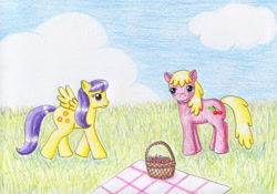 Size: 1735x1213 | Tagged: safe, artist:normaleeinsane, character:cherry berry, character:sunny rays, species:earth pony, species:pegasus, species:pony, g4, basket, cloud, day, picnic, picnic blanket, sunny rays, traditional art