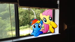 Size: 1920x1080 | Tagged: safe, artist:mr-kennedy92, character:fluttershy, character:rainbow dash, blinds, forest, looking in, ponies in real life, vector, window
