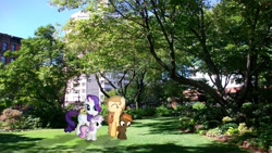 Size: 1920x1080 | Tagged: safe, artist:mr-kennedy92, character:button mash, character:rarity, character:sweetie belle, oc, oc:cream heart, irl, park, photo, ponies in real life, shadow, tree, vector