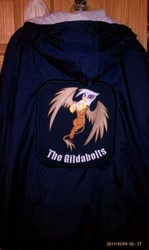 Size: 301x504 | Tagged: safe, artist:ethepony, character:gilda, species:griffon, clothing, craft, custom, embroidery, irl, jacket, photo