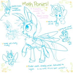 Size: 800x800 | Tagged: safe, artist:meekcheep, oc, oc only, species:mothpony, drink, eating, original species, reference sheet
