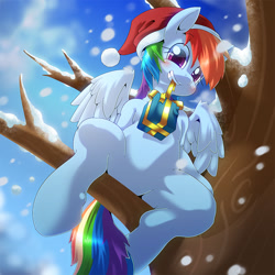 Size: 900x900 | Tagged: safe, artist:oze, character:rainbow dash, species:pegasus, species:pony, blushing, christmas, clothing, cute, dashabetes, featureless crotch, female, hat, looking at you, mare, present, santa hat, smiling, snow, snowfall, solo, tree, winter