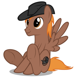 Size: 881x906 | Tagged: safe, artist:mrlolcats17, oc, oc only, oc:calamity, species:pegasus, species:pony, fallout equestria, brand, clothing, cute, fanfic, fanfic art, hat, male, simple background, solo, stallion, transparent background, wings