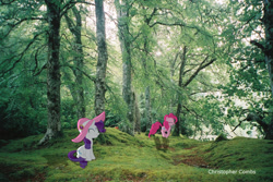 Size: 1159x776 | Tagged: safe, artist:digitalpheonix, artist:sakatagintoki117, artist:silentmatten, character:pinkie pie, character:rarity, clothing, forest, hat, irl, photo, ponies in real life, shadow, vector
