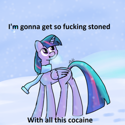 Size: 1024x1024 | Tagged: safe, artist:mang, edit, character:twilight sparkle, character:twilight sparkle (alicorn), species:alicorn, species:pony, caption, cocaine, female, mare, snow, snowfall, solo, stoned, vulgar, winter
