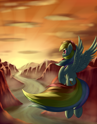Size: 1650x2100 | Tagged: safe, artist:grennadder, character:rainbow dash, female, solo