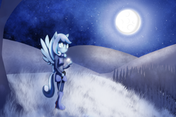 Size: 1920x1280 | Tagged: safe, artist:zedrin, oc, oc only, oc:snowdrop, my little pony:equestria girls, boots, cane, clothing, cute, equestria girls-ified, grass, jacket, moon, night, ocbetes, ponied up, scarf, shoes, smiling, snow, snowflake, solo, tree