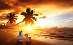 Size: 1920x1200 | Tagged: safe, artist:colorfulbrony, artist:quanno3, artist:tamalesyatole, character:rainbow dash, character:scootaloo, species:pegasus, species:pony, beach, irl, palm tree, photo, plot, ponies in real life, scootalove, sunset, tree, vector