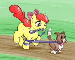 Size: 1000x800 | Tagged: safe, artist:muffinshire, character:apple bloom, character:winona, leash, tangled up