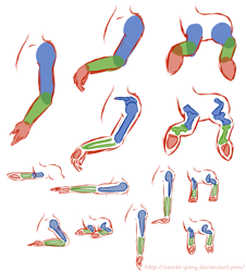 Size: 1009x1114 | Tagged: safe, artist:secret-pony, anatomy, legs, reference sheet, tutorial