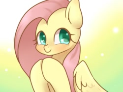 Size: 1023x767 | Tagged: safe, artist:ayahana, character:fluttershy, female, solo
