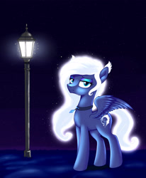 Size: 2540x3080 | Tagged: safe, artist:kas92, oc, oc only, collar, lamp post, lamppost, night, solo