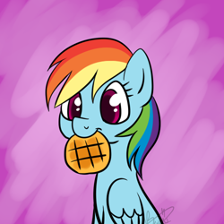Size: 500x500 | Tagged: dead source, safe, artist:maplesunrise, character:rainbow dash, female, food, mouth hold, solo, waffle