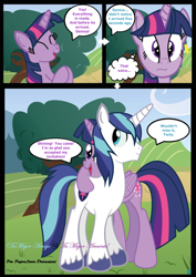 Size: 960x1358 | Tagged: safe, artist:paperlover, character:shining armor, character:twilight sparkle, character:twilight sparkle (alicorn), species:alicorn, species:pony, comic:your best friend and best lover, ship:shiningsparkle, brother and sister, explicit series, female, incest, infidelity, male, mare, shipping, siblings, straight