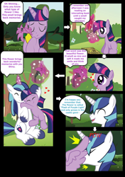 Size: 960x1360 | Tagged: safe, artist:paperlover, character:shining armor, character:twilight sparkle, character:twilight sparkle (alicorn), species:alicorn, species:pony, comic:your best friend and best lover, ship:shiningsparkle, brother and sister, explicit series, female, hug, incest, infidelity, male, mare, shipping, siblings, straight