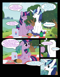 Size: 960x1235 | Tagged: safe, artist:paperlover, character:shining armor, character:twilight sparkle, character:twilight sparkle (alicorn), species:alicorn, species:pony, comic:your best friend and best lover, ship:shiningsparkle, brother and sister, explicit series, female, incest, infidelity, male, mare, shipping, siblings, straight