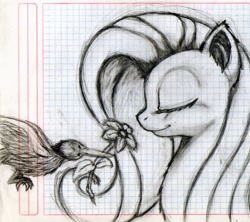 Size: 1954x1737 | Tagged: safe, artist:discorded-joker, character:fluttershy, species:bird, flower, lined paper, monochrome, pencil drawing, sketch, traditional art